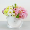 White flower box with hydrangea Flower delivery in Vilnius Beatričės Gėlių Namai